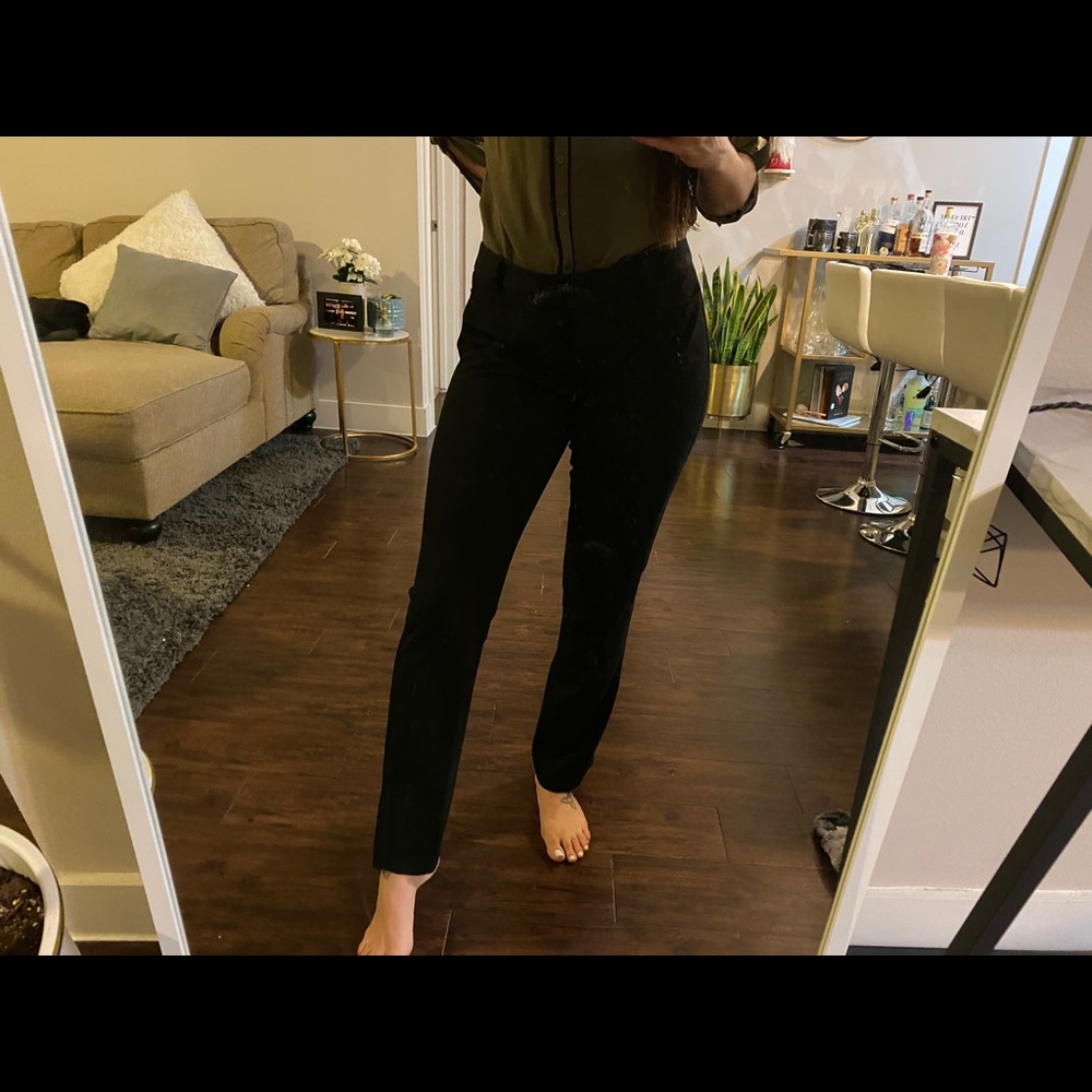 Express Columnist Pants